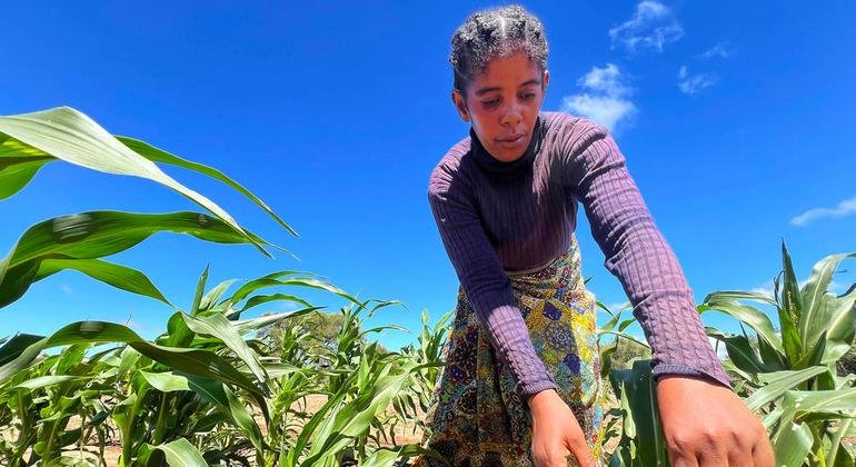 Tenefo Votsirasoa é membro de uma associação de mulheres produtoras na aldeia de Ankilinanjosoa