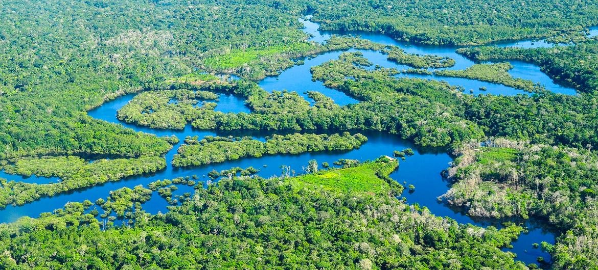 O rio Amazonas no Brasil O rio Amazonas no Brasil