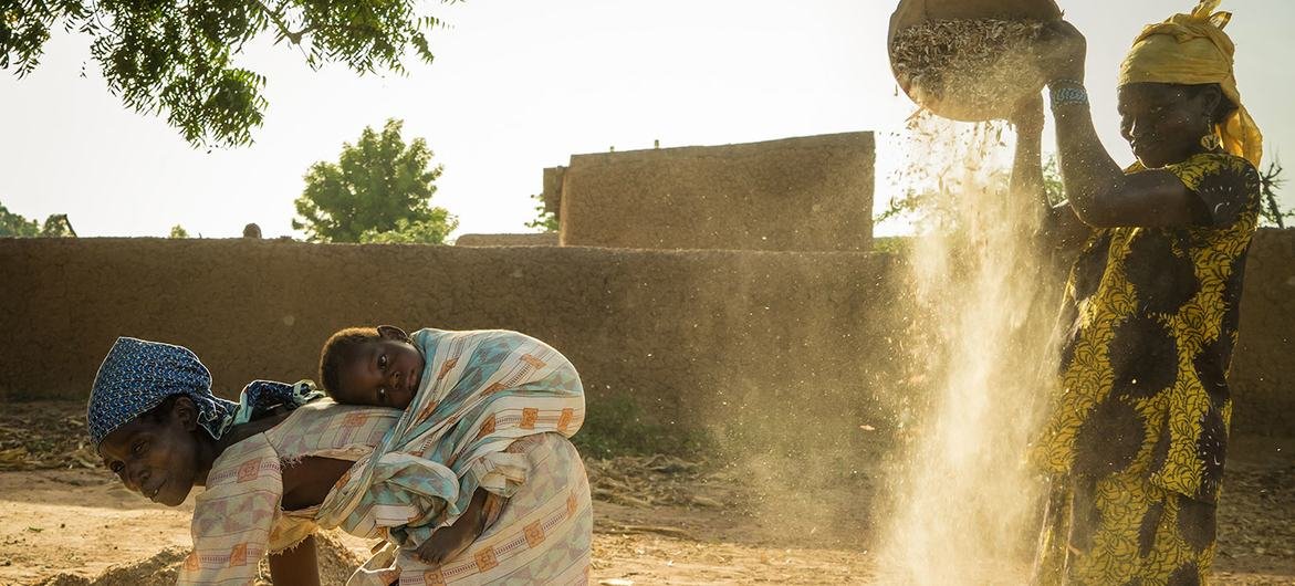 Segurança alimentar constrói segurança climática no Mali