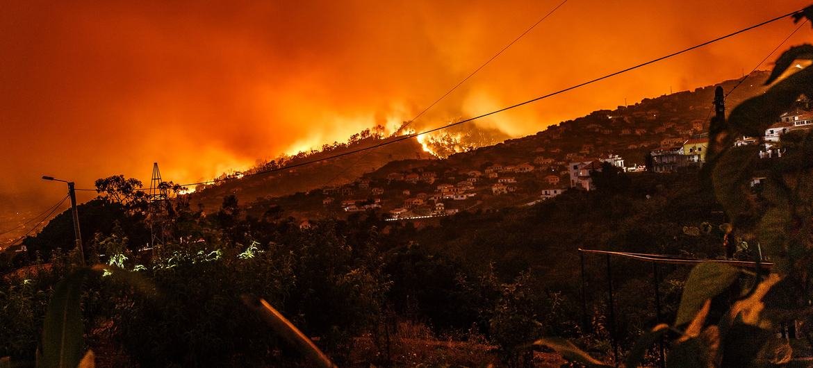 Uma floresta arde no Estreito da Calheta, em Portugal